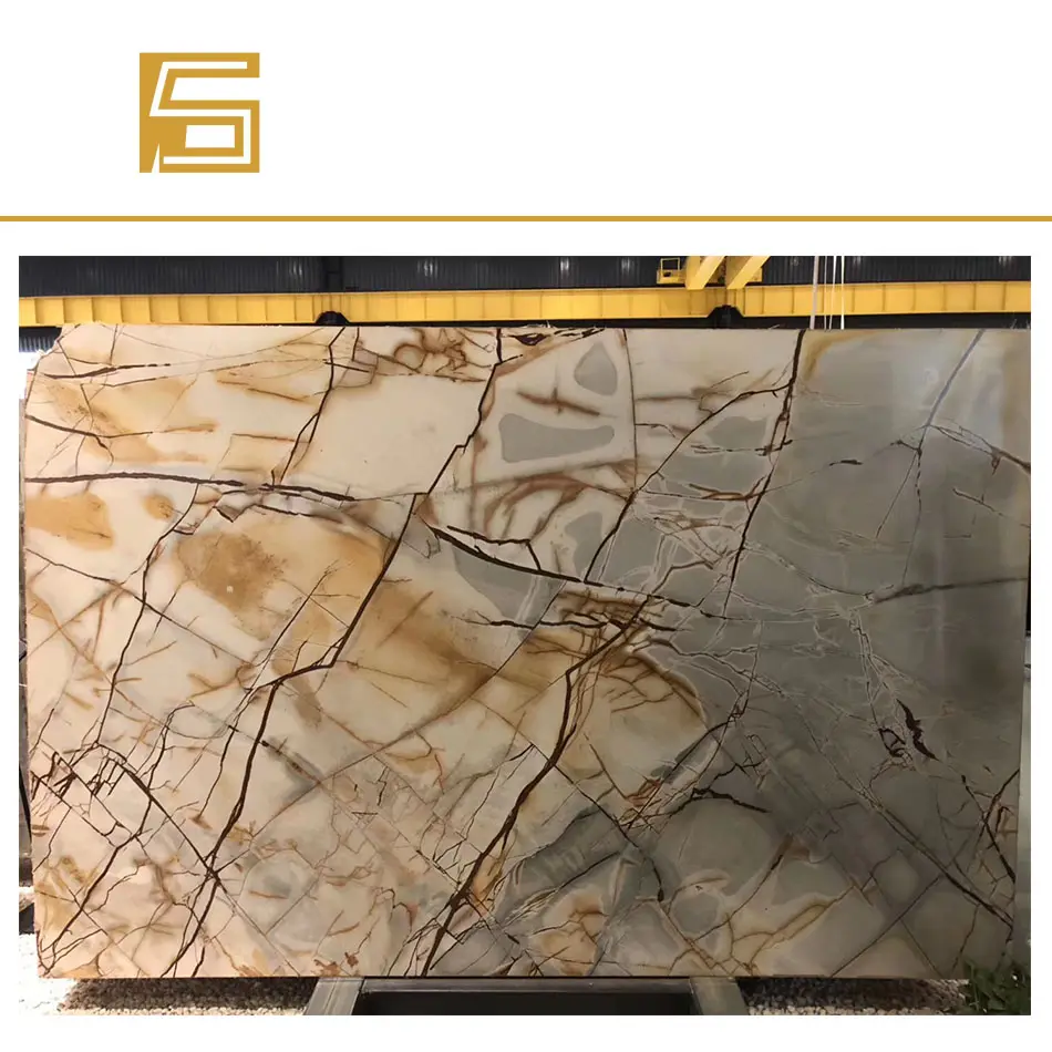 Luxury Brown Carpe Diem Quartzite Slabs Tiles Brazil Yellow Golden Quartzite Slabs