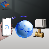 Commande à distance personnalisée en usine de la vanne à bille 2 voies DN15 DN50 vanne à bille électrique fonction de télécommande Wi-Fi