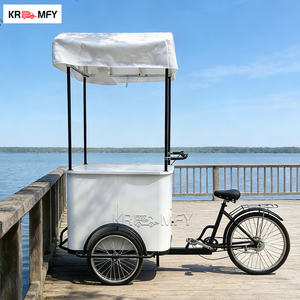 Carrito de Bicicleta Portátil de Fibra de Vidrio para Venta de Delicias Congeladas, Camión de Comida de Helados - Product Image 5