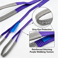 Sling de levage plat en polyester double épaisseur VINEET CE 1T violet haute résistance 25 mm x 5 m pour palan de pont roulant