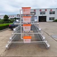 Système de cages à poulets de chair en A, équipement commercial pour élevages avicoles, cages galvanisées pour poules pondeuses, approvisionnement direct usine