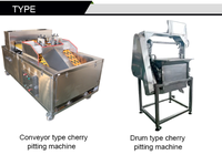 Kersenontpittermachine RVS 20 kg/u 380 V Industriële multifunctionele motor Commerciële apparatuur