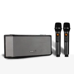 G6 Karaoke activo DSP portátil BT altavoz inalámbrico con micrófono