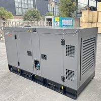 Générateur diesel silencieux Ricardo Gray 50 kVA 40 kW avec démarrage automatique, démarrage à distance, ATS, prise européenne, anneau de levage