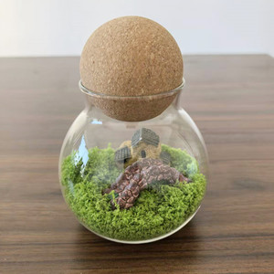 Terrarium en verre écologique 10*13cm avec couvercle en liège et boule en bois pour <span class=keywords><strong>jardin</strong></span> de bureau, plantes en mousse, <span class=keywords><strong>mini</strong></span> paysage intérieur - Product Image 3