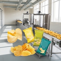 Volledig automatische LTK merk aardappelchips- en knapperige fruit- en groentefriteuse, 100 kg capaciteit, snackverwerkingslijn, op maat gemaakt