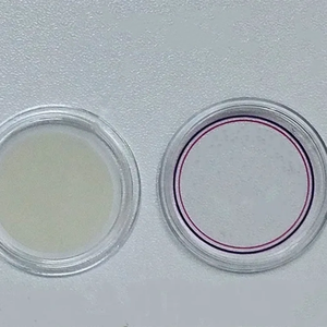 Membrana uniforme Tamaño de poro Membrana de separación AAO 70 nm Separación de liposoma Película AAO - Product Image 6