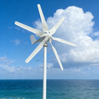 Générateur éolien 12V 24V 48V, générateur éolien 800W à 3 pales avec contrôleur éolien MPPT, kit générateur éolien