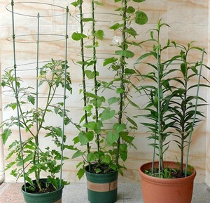 Cages de soutien pour plantes de 18 pouces avec 3 anneaux réglables, lot de 3 (30 pouces) - Product Image 5
