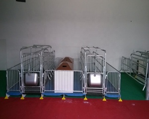 Aangepaste Farrowing Staal Varken Pen Ontwerp Apparatuur Voor Eu Markt - Product Image 2