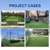 Lapangan Sepak Bola Mini SSTD Cage Indoor Outdoor dengan Jaring Pengaman untuk Komunitas dan Sekolah