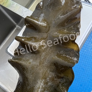 Hoja de algas secas para máquina de baja humedad Premium, ideal para uso culinario e industria de procesamiento de alimentos - Product Image 3
