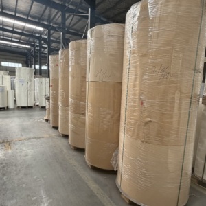 Rouleau de papier en vrac standard 240 g/m² biodégradable enduit de PE résistant à l'huile pour la fabrication de fonds de gobelets en papier – Vente en gros - Product Image 5