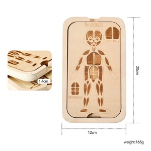 Puzzle anatomique <span class=keywords><strong>du</strong></span> <span class=keywords><strong>corps</strong></span> <span class=keywords><strong>humain</strong></span> en bois à 4 couches, squelette, muscles, organes, jouet éducatif cognitif pour l'éveil précoce des enfants - Product Image 2