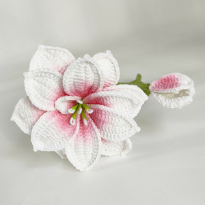 TC Décoration d'intérieur DIY Bouquet de fleurs pour anniversaire Cadeau Fête des Mères Fleur artificielle tricotée Branche de fleur au crochet <span class=keywords><strong>Amaryllis</strong></span> - Product Image 5