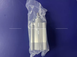 ชุดกระบอกลูกสูบแกนนิวเมติกชุด dsbc ใหม่ดั้งเดิมและถังผูก DSBC-100-50-PPVA-N3 (1384806) FESTO-DSBC เทศกาล - Product Image 2