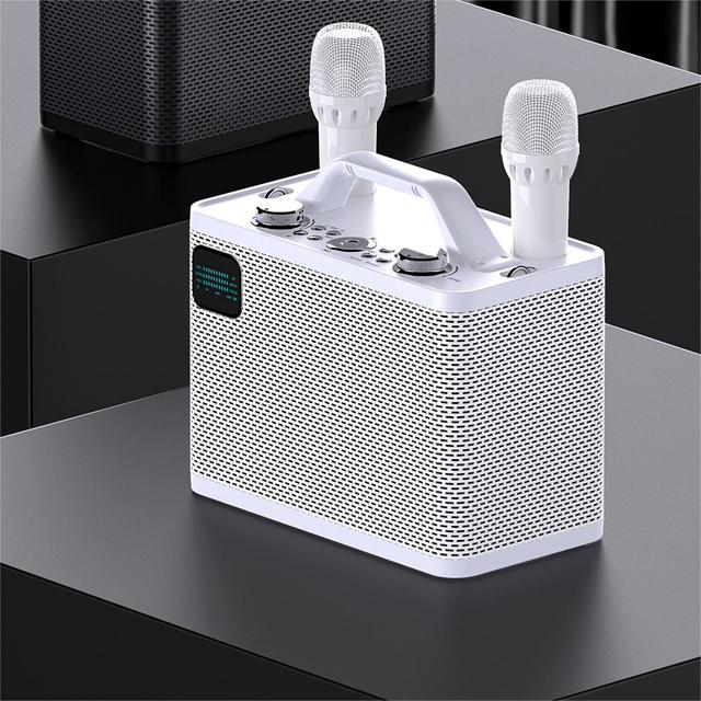 Portable Party  BT Speakers Boombox  Speaker with Wireless Microphone