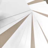 Prix usine Feuilles de carton duplex gris imperméables, couchées blanc avec dos blanc, compatibles impression héliogravure, en pâte de bois vierge
