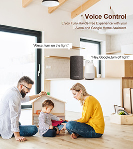 <span class=keywords><strong>ZigBee</strong></span> Einweg-Single-Fire-Modul Fernbedienung Smart Home APP Remote Hidden Switch Sprach steuerung - Product Image 6