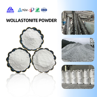 Poudre de Wollastonite pour Masterbatch Plastique, Moulage par Injection, Extrusion, Pièces en Feuille de Polymère, Remplissage Plastique à base de Wollastonite