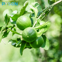 Diosmin 95%-102% HPLC Citrus Aurantium Extract voor ondersteuning van aderen en de circulatie
