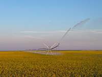 Máquina de Riego por Pivote Central Móvil con Posicionamiento GPS, Gestión Automática de Riego Agrícola