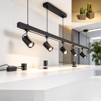 Lampu Sorot LED dari Penyedia Solusi Hotel 24V 4000K Desain Gantung untuk Dekorasi Galeri, Toko, dan Kantor