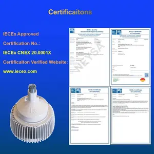 High Quality IECEx ATEx LED Explosion Proof Light IP66 WF2 Industrial LPG Gas Station Marine Navigation Lamp With Emergency