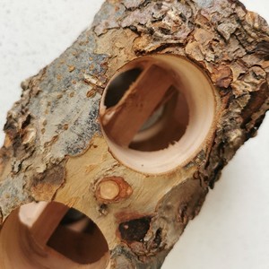 Bâton à mâcher écologique en bois de perroquet pommier molaires <span class=keywords><strong>pour</strong></span> animaux de compagnie jouets oiseau cobaye cage articles molaires de <span class=keywords><strong>lapin</strong></span> articles - Product Image 2