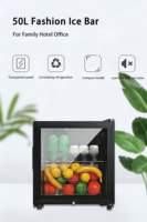 Mini-réfrigérateur à vin de style moderne, écologique, de petite capacité (50L), à porte simple, pour hôtel, maison ou usage domestique.