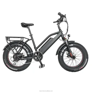 ES001EBike OEMファクトリー20インチファットタイヤバイクシティEbike250W350W500Wハブモーター電動自転車折りたたみ式電動自転車大人