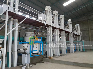 خط إنتاج ماكينة فرز وتنظيف درجات حبوب البن روبوستا أرابيكا من أوغاندا - Product Image 2