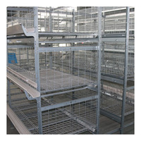 Équipement automatique pour élevage de cailles en métal et conception de cages à cailles
