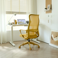Chaise de bureau ergonomique moderne pour personnel, pivotante, réglable en hauteur, avec coussin moelleux, chaise de direction en maille