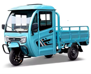 Tricycle à trois roues de haute qualité 1000w populaire en Europe et en Amérique pour adultes - Product Image 3