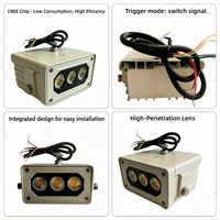 Iluminador de Luz Blanca de 5W con Entrada de 12V CC, Resistente al Agua IP66, Luz Estroboscópica LED de Aluminio para Cámaras de Seguridad CCTV