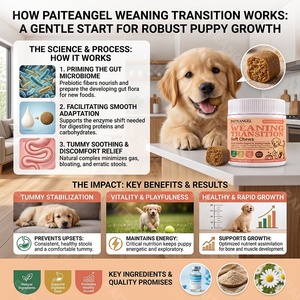 Complément Digestif <span class=keywords><strong>pour</strong></span> Chiots 180g – Friandises à Mâcher <span class=keywords><strong>pour</strong></span> la Transition Alimentaire – Soin Intestinal Sain – Prévient les Troubles Digestifs – Marque Blanche - Product Image 3