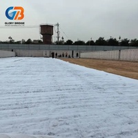 Revestimiento de Arcilla Geosintética Resistente a la Corrosión y a los Químicos para Laguna de Aguas Residuales y Proyecto de Tratamiento de Aguas Residuales