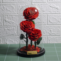 3 rouge Préservé Infini Vraies Fleurs Fraîches Belle Beauté 3 Ans Longue durée Pour Toujours Rose dans le Dôme De Verre