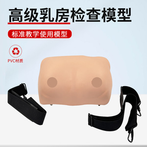 Modelo portátil para entrenamiento y examen de senos; práctica didáctica sobre patología mamaria femenina; modelo para autoexamen y cuidado. - Product Image 2