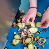Kls Sterk Aanbevolen Commerciële Avocadosnijmachine Voor Fruitverwerkende Bedrijven Met Kernmotoronderdelen