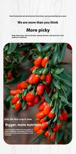 Doğal renk korundu Fujian hiçbir yapay boya dilimlenmiş AD su süreci toplu paketi kurutulmuş <span class=keywords><strong>Goji</strong></span> meyveleri 250g - Product Image 6