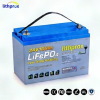 Batterie de traction pour chariot élévateur 24V 100AH à technologie LFP avancée, BMS intelligent, anti-vibration, pour équipement d'entrepôt, CE RoHS UN38.3 OEM