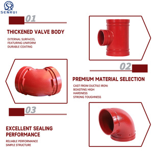 Système de protection incendie, raccord en fonte ductile peint, raccord de pulvérisation à rainure, adaptateur de bride, raccord pour tuyau - Product Image 4