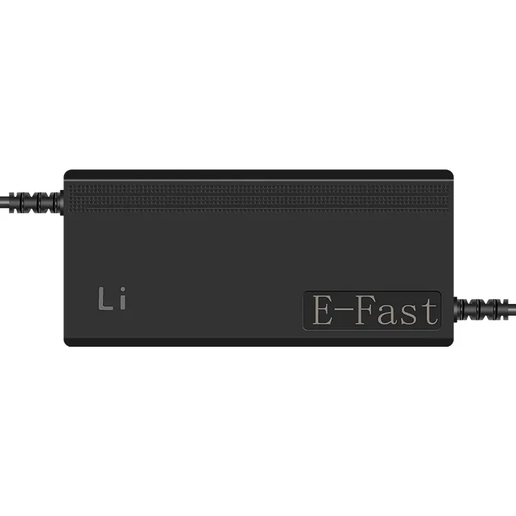 Factory price E-Fast 24V 2A lithium ion lifepo4 battery charger for sale
