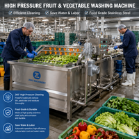 Industriële automatische motor aangedreven belletjeswasmachine voor het reinigen van fruit en groenten, capaciteit 600-1000 kg/uur, voor voedselverwerking