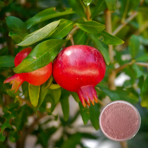 Suministro de fábrica, polvo de fruta de Granada de grado alimenticio de alta calidad, polvo de jugo de fruta, fruta de hierbas naturales extraída - Product Image 6