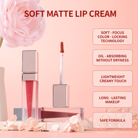 Kits de gloss à lèvres personnalisables à base de plantes, format poche, rehausseur de couleur, brillance sensuelle, vente en gros, longue tenue, rehausseur de couleur