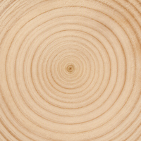 Tranche de bois naturelle ronde en forme de pain d'épices, artisanale, non finie, pour peinture, œuvre d'art écologique pour la décoration de la maison et des fêtes