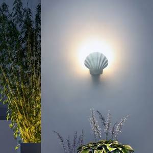 Modern design style <b>shell</b> wall lamp - Product Image 3